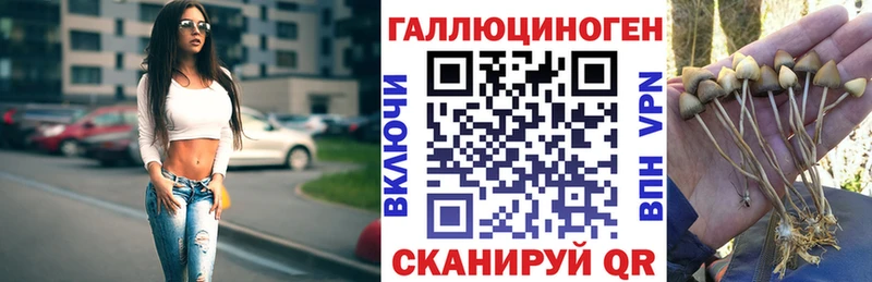 Галлюциногенные грибы GOLDEN TEACHER  Купить  Черемхово 